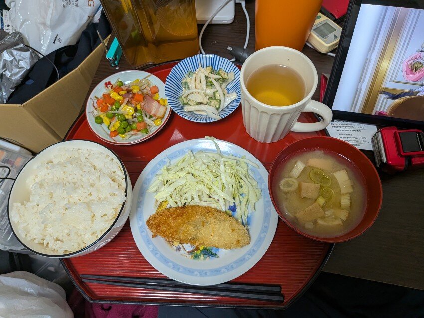 本日の夕飯