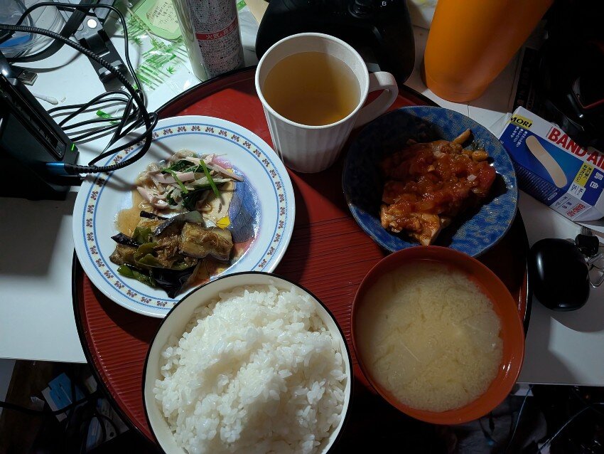本日の夕飯