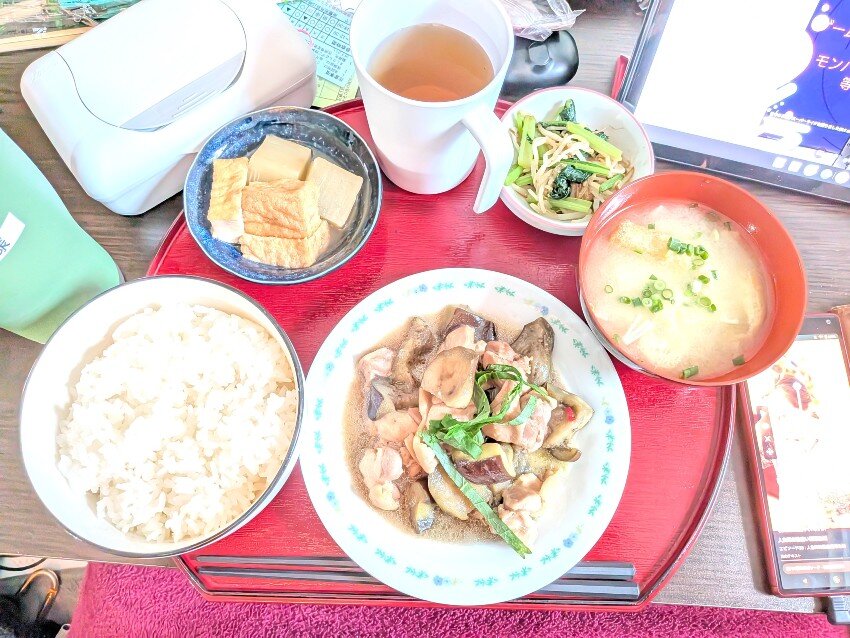 本日の夕飯