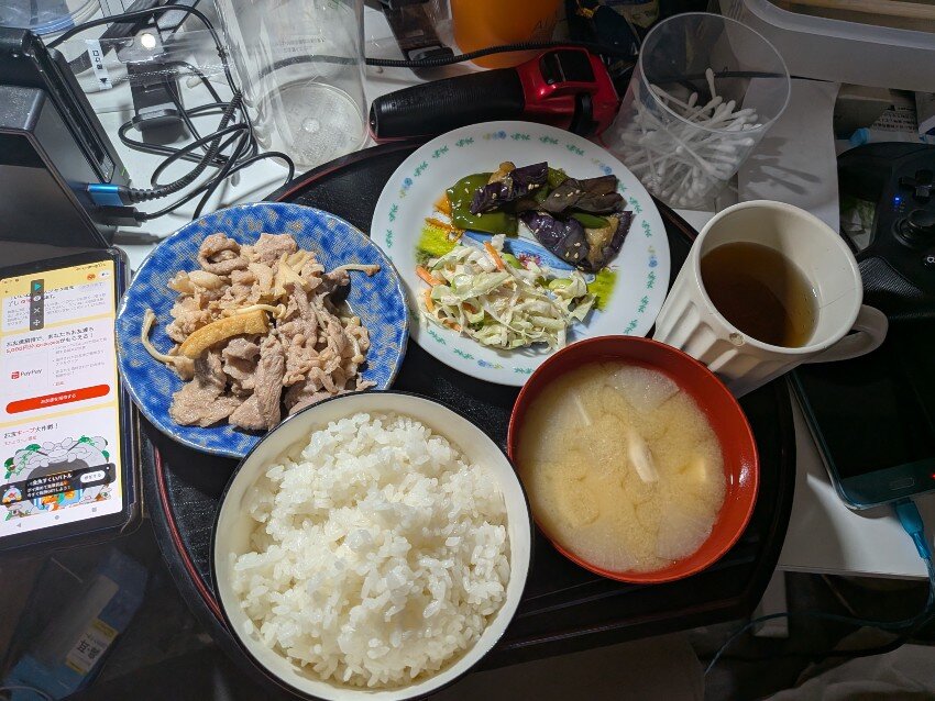 本日の夕飯