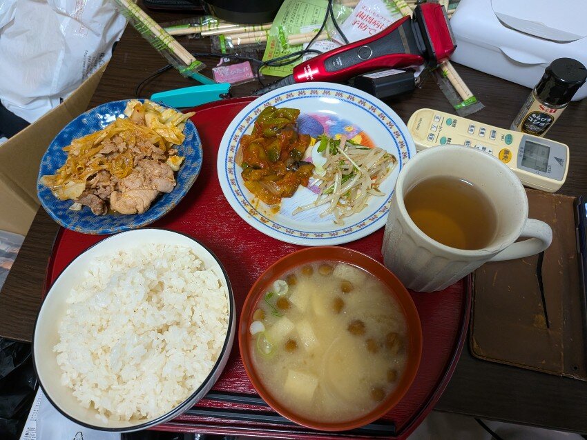 本日の夕飯
